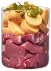 Terra Canis Hypoallergenic Antelope & potato 800 g