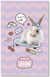 NEBULO Zsebnaptár NEBULO A/6 heti papírborítós Whats UP 2026 (TZSN-A6-26-D1) - tonerpiac