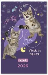 NEBULO Zsebnaptár NEBULO A/6 heti papírborítós Astro Cats 2026 (TZSN-A6-26-D2) - tonerpiac
