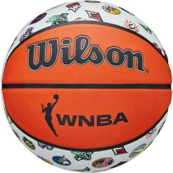 Wilson Kosárlabda Wilson WNBA All Team 6-os méret 6 színes
