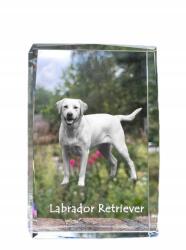 Art-Dog Labrador retriever kutya kép kristályban, ajándéktárgy, trófea köszönetnyilvánítás (5055882465763)