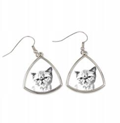 Art-Dog Macska Egzotikus rövidszőrű háromszög alakú lógós fülbevaló fényképpel (5055882476486)