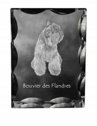 Art-Dog Bouvier kutya fotó díszes kristályban, ajándéktárgy, lakásdekoráció (5055882448063)