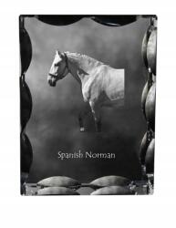 Art-Dog Spanyol-norvég ló fotó díszkristályban, ajándéktárgy, dekoráció (5055882450158)