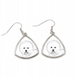 Art-Dog Bolognai háromszög alakú lógós kutya fülbevaló, fényképpel, személyre szabható (5055882474512)