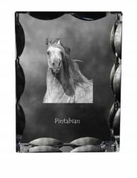 Art-Dog Pintabian ló fotó díszes kristályban, ajándéktárgy, lakásdekoráció (5055882450431)