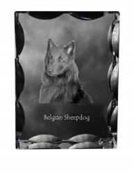 Art-Dog Tervueren Belga juhászkutya kutya fotó díszes kristályban, ajándéktárgy (5055882448629)