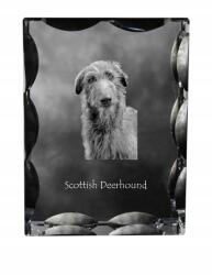 Art-Dog Skót agár kutya kép díszes kristályban, ajándéktárgy, lakásdekoráció (5055882448803)