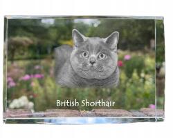Art-Dog Brit rövidszőrű macska kristályos fotó, emléktárgy, trófea (5055882467569)