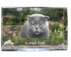 Art-Dog Skót macska lógó kép kristályban, ajándéktárgy, trófea köszönetnyilvánítás (5055882467699)