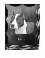 Art-Dog Amstaf Amstaff kutya fotó díszes kristályban, ajándéktárgy, lakásdekoráció (5055882447479)