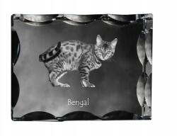 Art-Dog Bengáli macska fotó díszes kristályban, ajándéktárgy, lakásdekoráció (5055882449602)