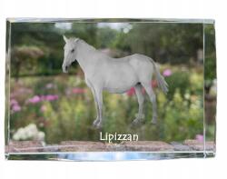 Art-Dog Lipicai ló kristályos fotó, emléktárgy, trófea, köszönetnyilvánítás (5055882468108)