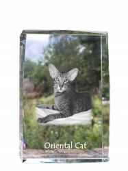 Art-Dog Oriental macska kristályos fotó, emléktárgy, trófea, köszönetajándék (5055882467545)