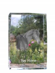 Art-Dog Ló fészek fotó kristályban, emléktárgy, trófea, köszönetnyilvánítás (5055882468283)