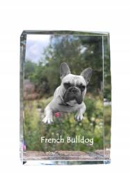 Art-Dog Francia bulldog fénykép kutya kristályban, ajándéktárgy, trófea, köszönetajándék (5055882465701)
