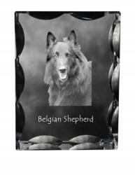 Art-Dog Belga juhászkutya kutya kép díszes kristályban, ajándéktárgy, dekoráció (5055882448049)