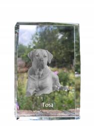 Art-Dog Tosa Inu kutya kép kristályban, ajándéktárgy, trófea, köszönetajándék (5055882467323)