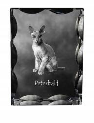 Art-Dog Peterbald macska fotó díszkristályban, ajándéktárgy, lakásdekoráció (5055882449671)