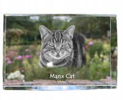 Art-Dog Manx macska kristályos fotó, emléktárgy, trófea, köszönetajándék (5055882467897)