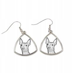 Art-Dog Amerikai terrier szőrtelen háromszög alakú, lógós fülbevaló kutyával, fényképpel (5055882475946)