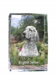 Art-Dog Angol szetter kutya kép kristályban, ajándéktárgy, trófea, köszönetnyilvánítás (5055882467156)