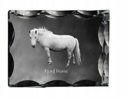 Art-Dog Fjord ló fotó díszes kristályban, ajándéktárgy, lakásdekoráció (5055882450059)