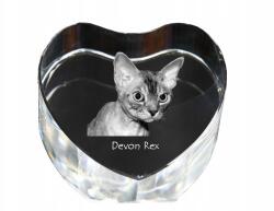 Art-Dog Devon Rex macska kristály szív, dísz, macska fénykép ajándéktárgy (5055882446588)
