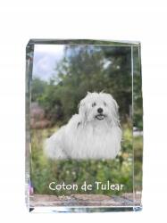 Art-Dog Coton de Tulear fotó kutya kristály, ajándéktárgy, trófea, köszönetajándék (5055882467101)