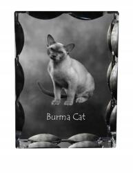 Art-Dog Burmai macska fotó díszes kristályban, ajándéktárgy, lakásdekoráció (5055882449732)