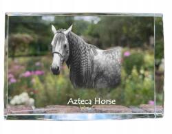 Art-Dog Azték ló kristályos fotó, emléktárgy, trófea, köszönetnyilvánítás (5055882468252)