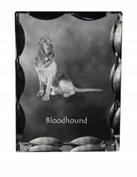 Art-Dog Bloodhound kutya fotó díszes kristályban, ajándéktárgy, lakásdekoráció (5055882447530)