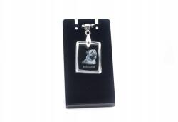 Art-Dog Bullmastiff kristály medál szíjjal, nyaklánc fényképpel (5055882438590)