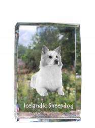Art-Dog Izlandi pásztor spicc fotó kutya kristály, ajándéktárgy, trófea (5055882466609)