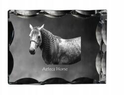 Art-Dog Azték ló fénykép díszes kristályban, ajándéktárgy, lakásdekoráció (5055882450257)