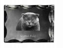 Art-Dog Skót macska lógó kép díszes kristályban, ajándéktárgy, dekoráció (5055882449695)