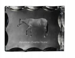 Art-Dog Ló American Quarter fotó díszes kristály, ajándéktárgy, lakásdekoráció (5055882449978)