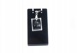 Art-Dog Leonberger kristály medál szíjjal, nyaklánc fényképpel (5055882439429)