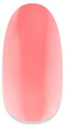 NiiZA Gel Polish 4ml - 248 Üveg hatású - gellakk