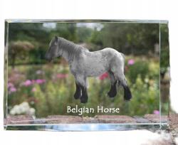 Art-Dog Belga ló kristályos fotó, emléktárgy, trófea, köszönetnyilvánítás (5055882468023)