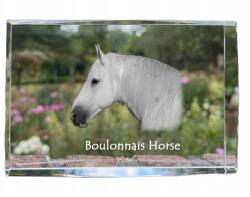 Art-Dog Bolognai ló kristályos fotó, emléktárgy, trófea, köszönetnyilvánítás (5055882468306)