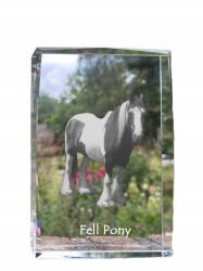 Art-Dog Fell póni kristályos fotó, ajándéktárgy, trófea, köszönetajándék (5055882468184)