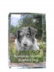 Art-Dog Ciobanesc Romanesc Mioritic kutya kép kristályban, ajándéktárgy, trófea (5055882466906)