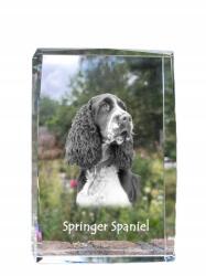 Art-Dog Springer spániel angol kutya kép kristályban, ajándéktárgy, trófea (5055882466371)
