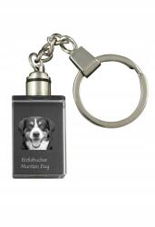 Art-Dog Entlebucher kristály kulcstartó kutya kulcstartó fényképpel megvilágított (5055882427631)