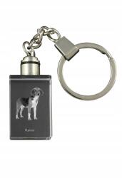 Art-Dog Harrier kristály kulcstartó kutya kulcstartó fényképpel megvilágított (5055882427730)