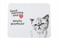 Art-Dog Macska Egzotikus rövidszőrű egérpad macskával, az Ön fényképével (5055882489486)