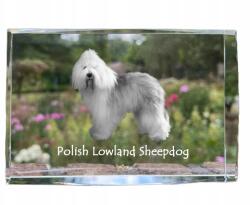 Art-Dog Lengyel alföldi juhászkutya fénykép kutya kristályban, ajándéktárgy, trófea (5055882466319)
