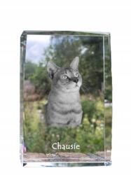 Art-Dog Chausie macska fotó kristályban, emléktárgy, trófea, köszönetnyilvánítás (5055882467927)