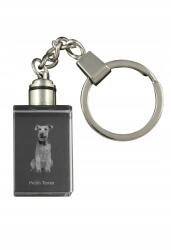 Art-Dog Walesi terrier kristály kulcstartó kutya kulcstartó fényképpel (5055882428355)
